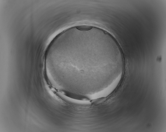 X0000114671515200911181154