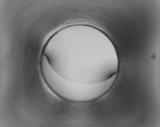 X0000114671518200911181154