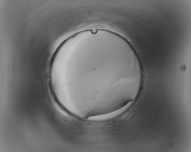 X0000114671519200911181154