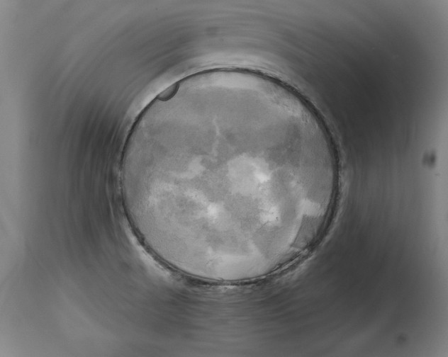 X0000114671521200911181154