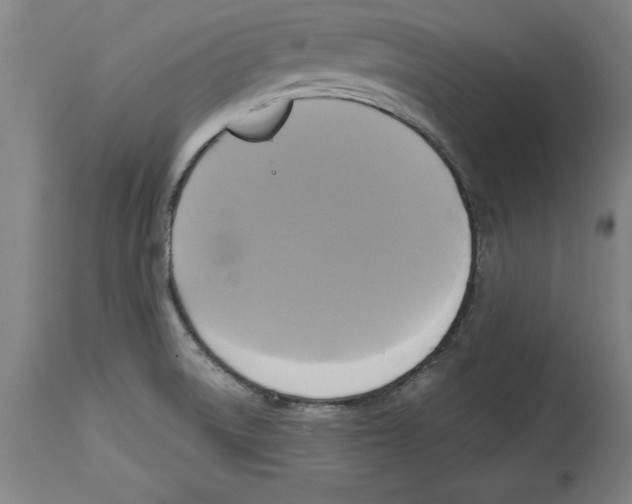 X0000114671522200911181154