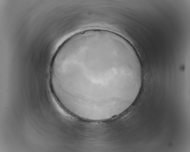 X0000114671523200911181154