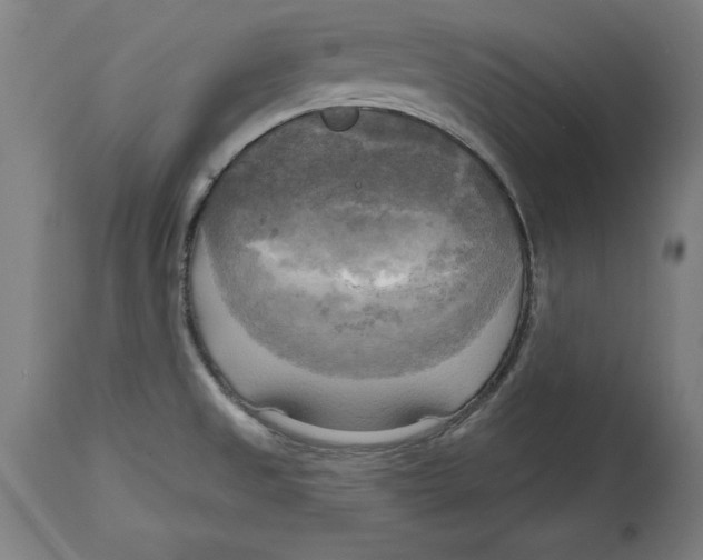 X0000114671525200911181154