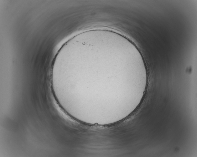 X0000114671526200911181154