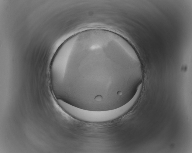 X0000114671527200911181154