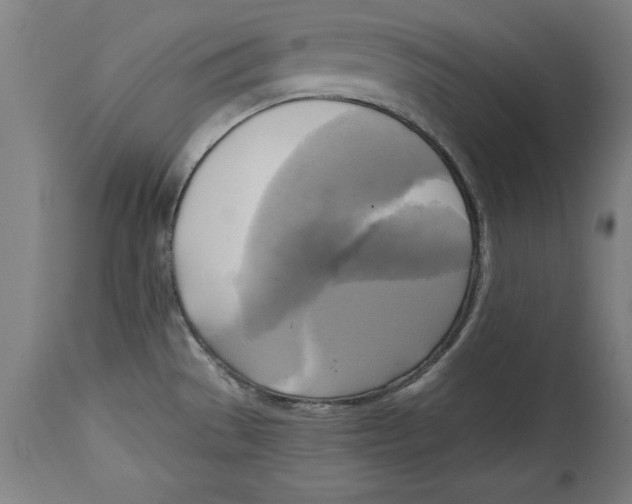 X0000114671529200911181154