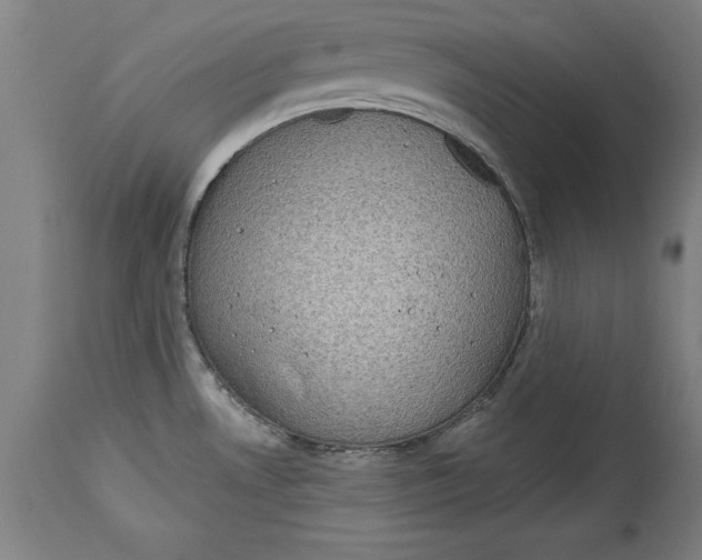 X0000114671530200911181154