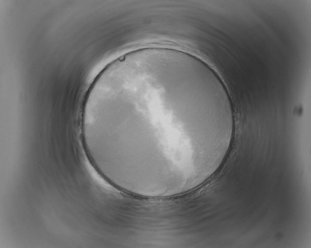 X0000114671531200911181155