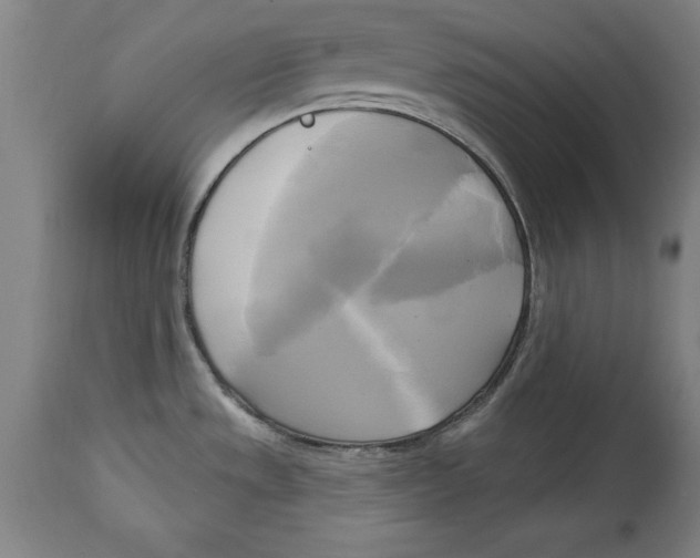 X0000114671533200911181155