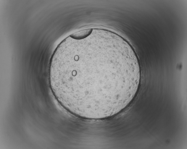 X0000114671534200911181155