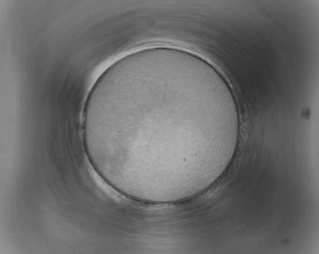 X0000114671535200911181155