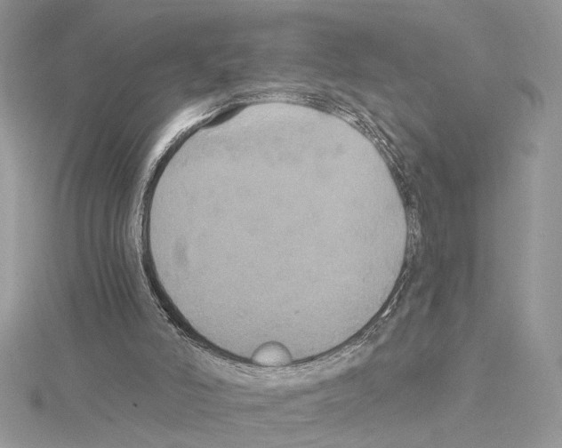 X0000114670006200912021104