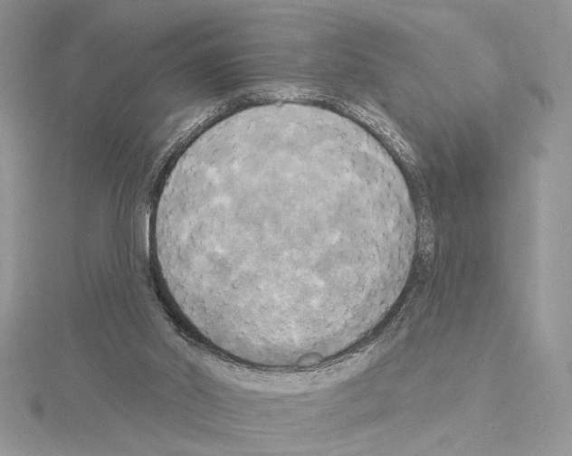 X0000114670014200912021103