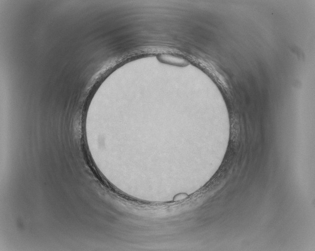 X0000114670015200912021103
