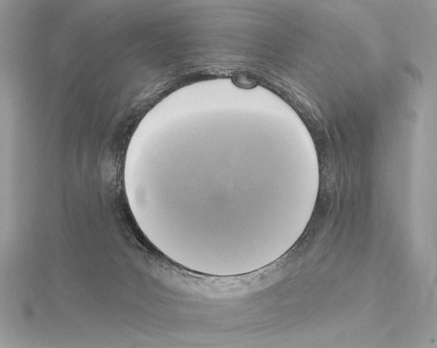 X0000114670031200912021103