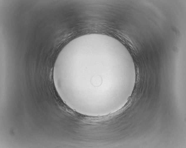X0000114670033200912021103