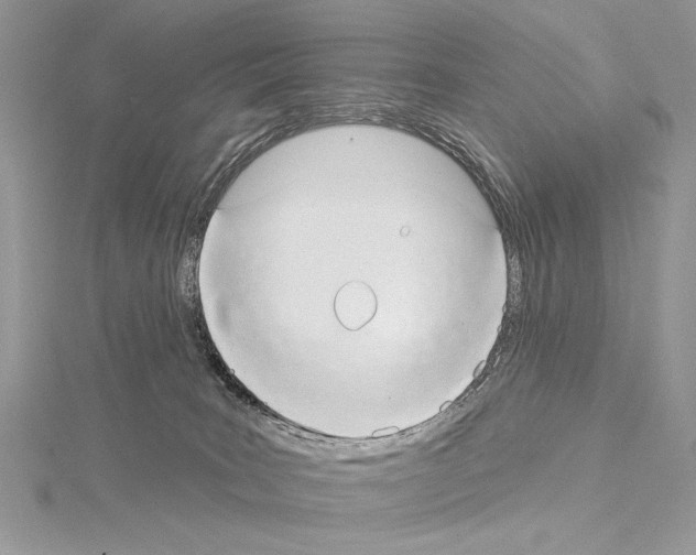 X0000114670035200912021103