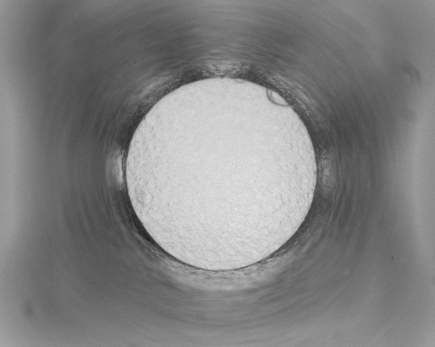 X0000114670042200912021103