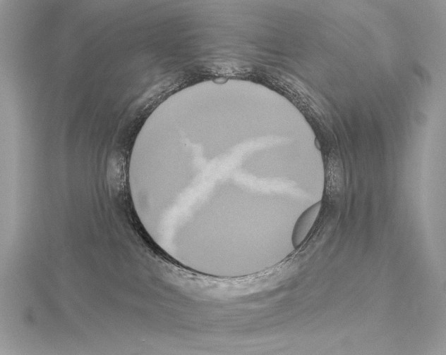 X0000114670043200912021103
