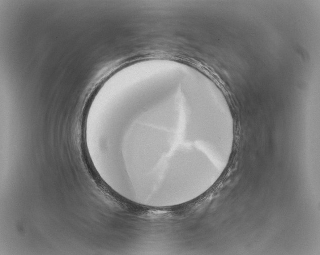X0000114670055200912021102