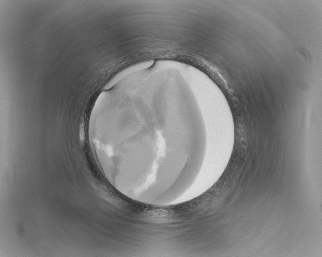 X0000114670069200912021103