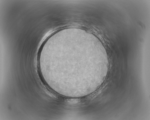 X0000114670102200912021102