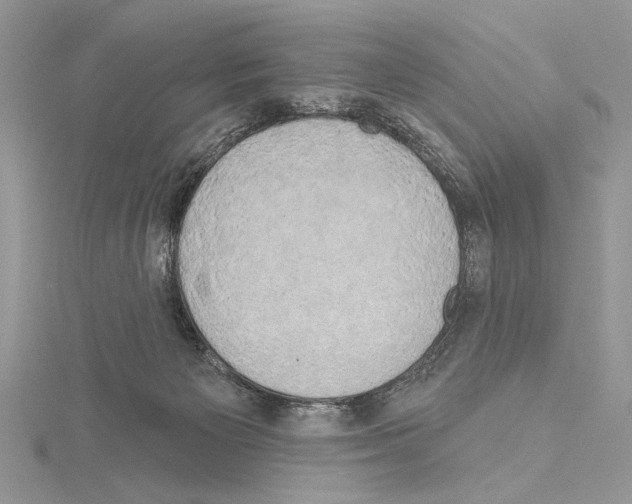 X0000114670125200912021102