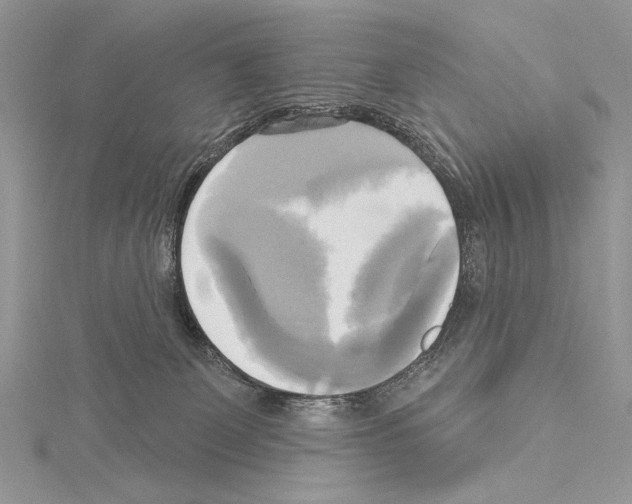 X0000114670131200912021102