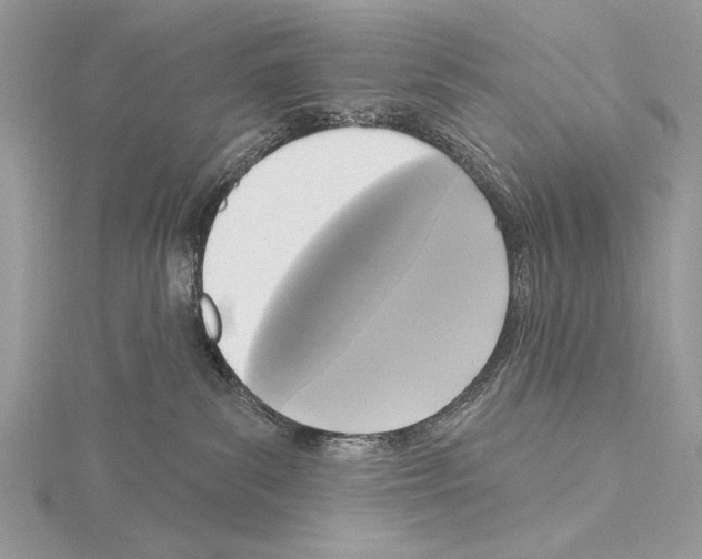 X0000114670139200912021102