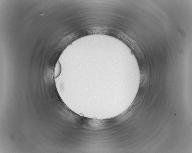 X0000114670142200912021102