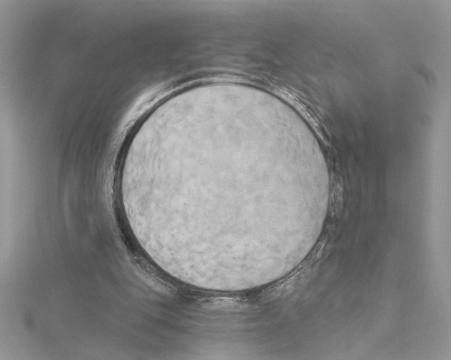 X0000114670151200912021101