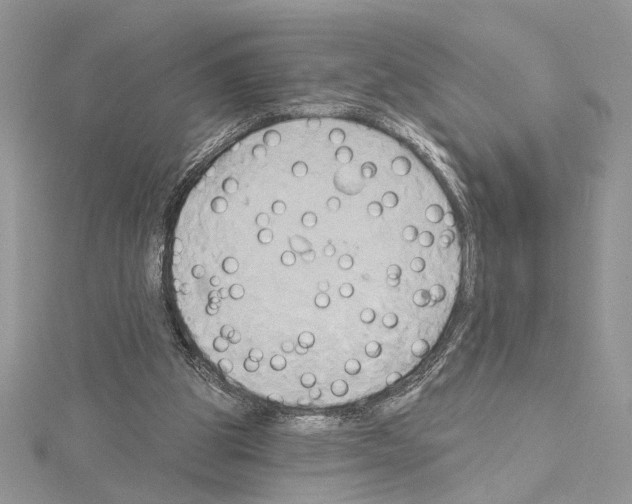 X0000114670153200912021101