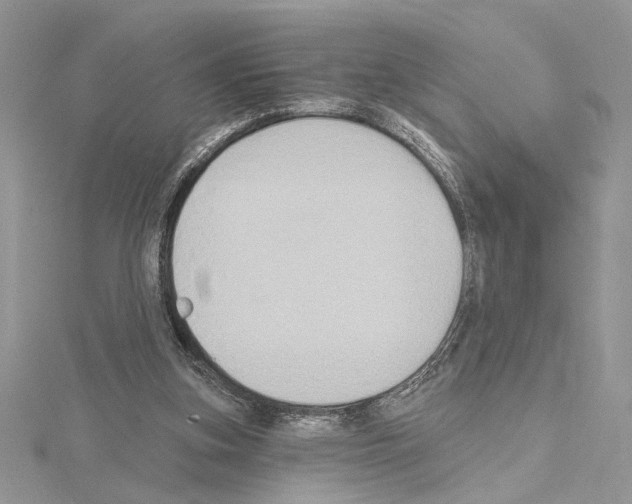 X0000114670155200912021101
