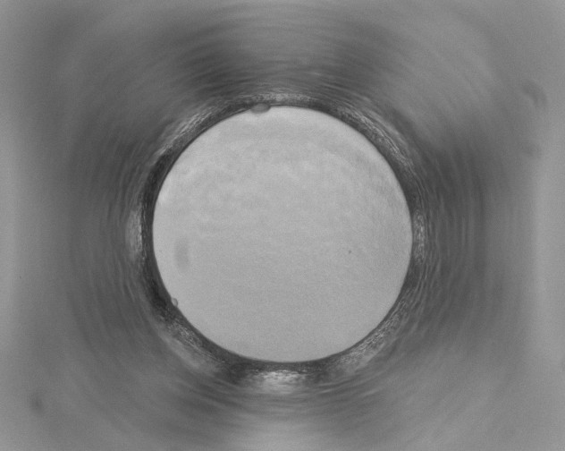 X0000114670158200912021101