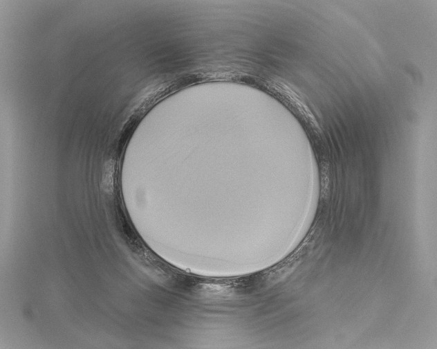 X0000114670167200912021101