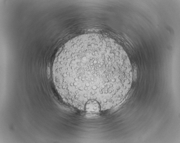 X0000114670183200912021102