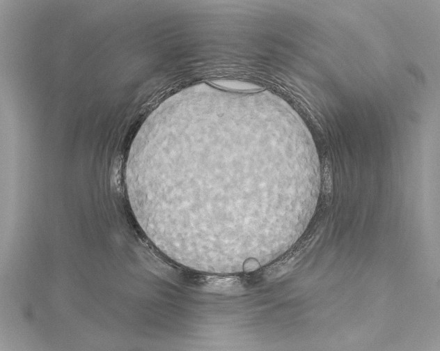 X0000114670185200912021102