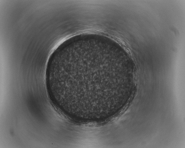 X0000114670196200912021101