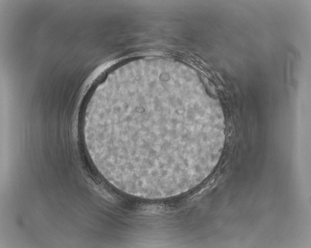 X0000114670200200912021101