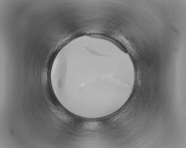 X0000114670202200912021101