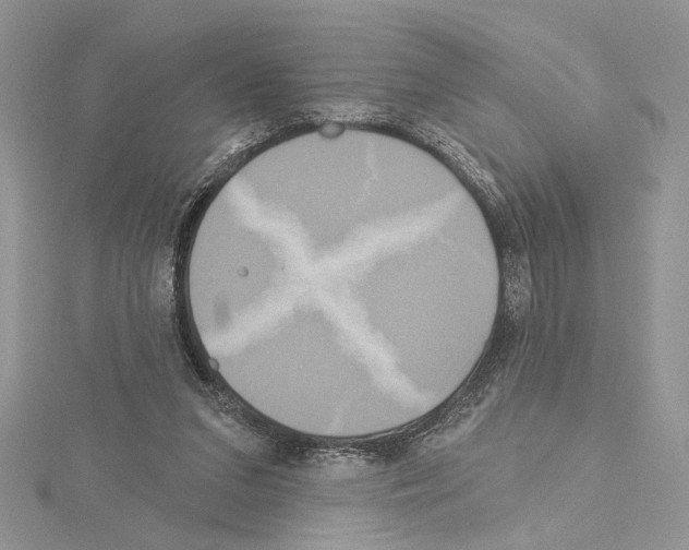 X0000114670207200912021101