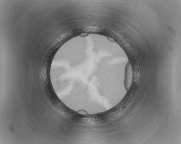 X0000114670211200912021101