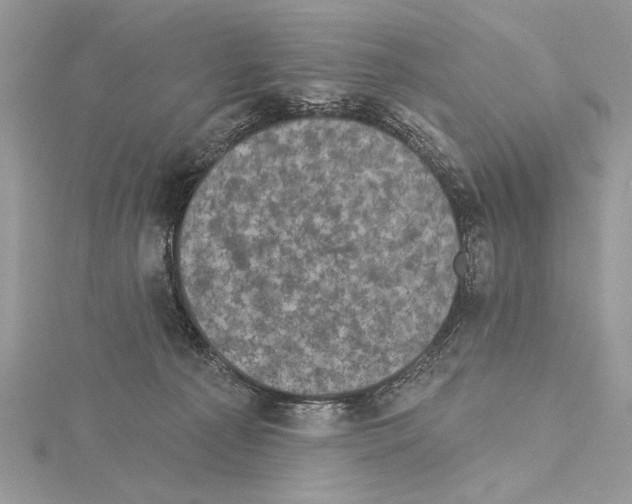 X0000114670225200912021101