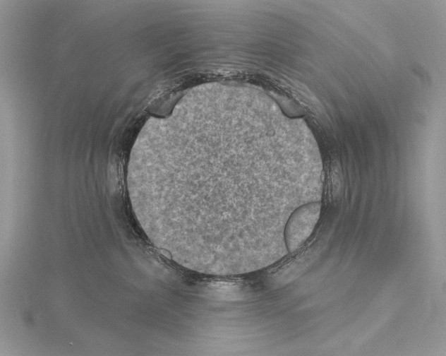 X0000114670236200912021100