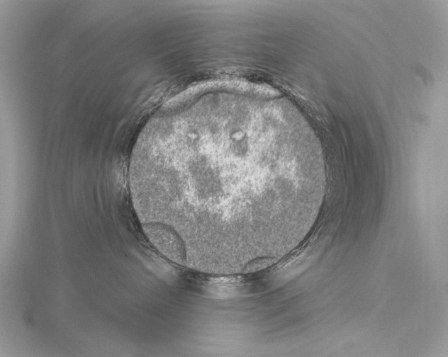 X0000114670240200912021100