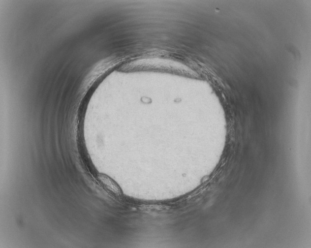 X0000114670242200912021100