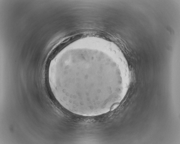 X0000114670243200912021100