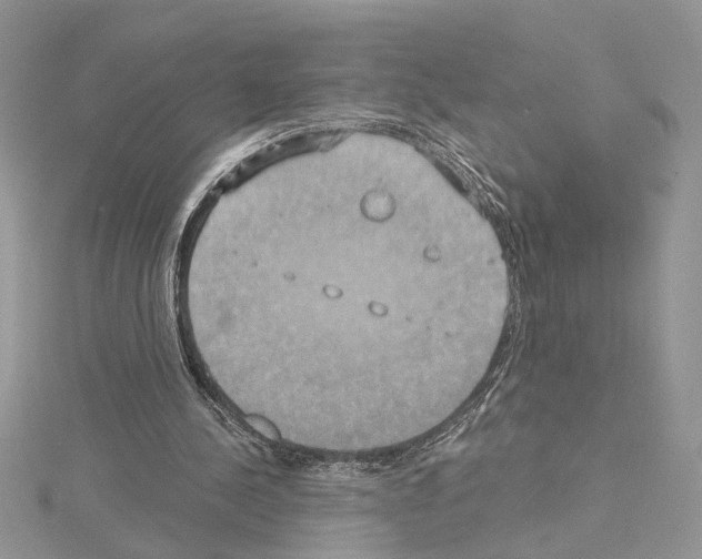 X0000114670244200912021100