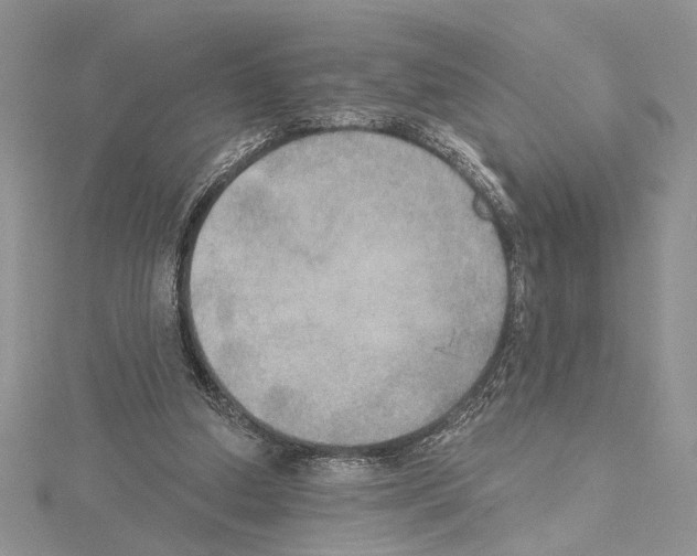 X0000114670250200912021100