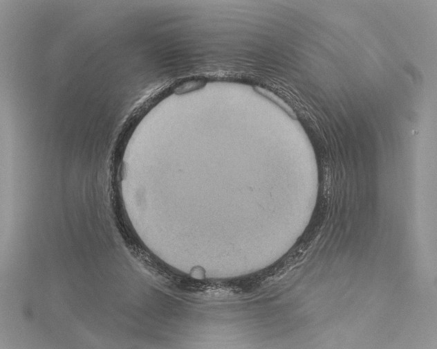 X0000114670256200912021100